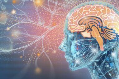 Can you upload a human mind into a computer? A neuroscientist ...