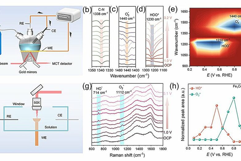 Dual-atom catalyst boosts performance of zinc-air batteries for ...