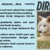 De-Extinction Breakthrough: Has an American Company Resurrected ...