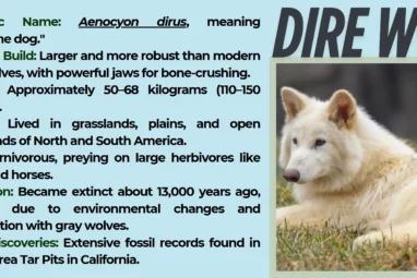 De-Extinction Breakthrough: Has an American Company Resurrected ...