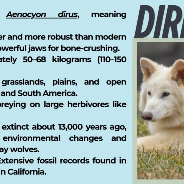 De-Extinction Breakthrough: Has an American Company Resurrected ...