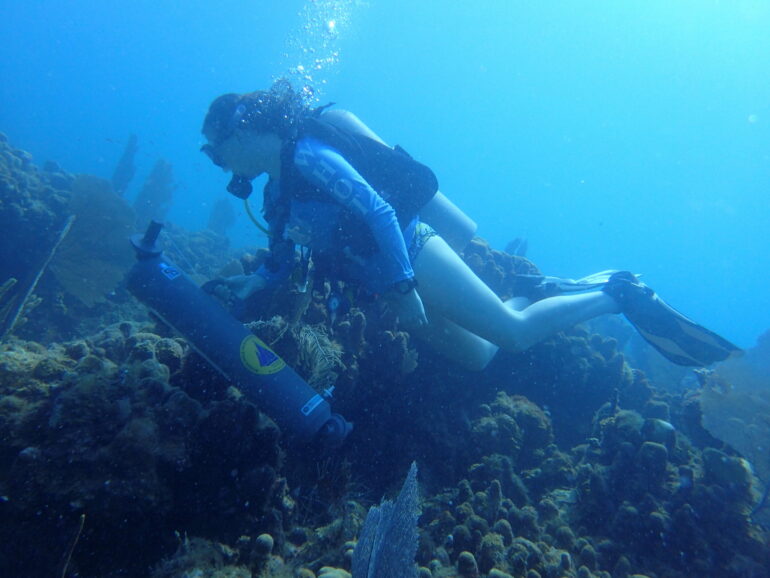 Microbial monitoring in reef waters offers accessible tool for ...