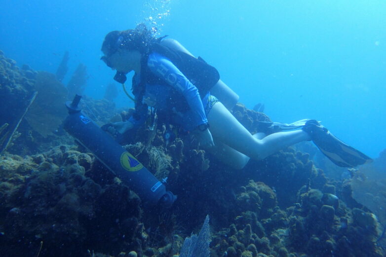 Microbial monitoring in reef waters offers accessible tool for ...