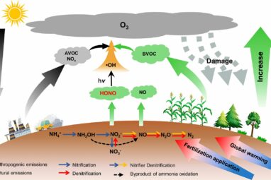 Rising soil nitrous acid emissions driven by climate change and ...
