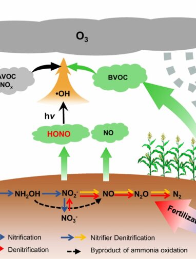 Rising soil nitrous acid emissions driven by climate change and ...