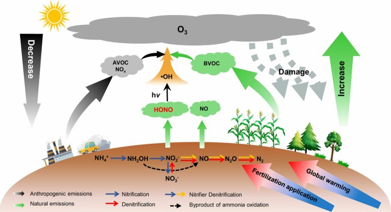 Rising soil nitrous acid emissions driven by climate change and ...