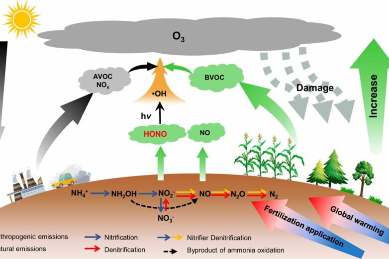 Rising soil nitrous acid emissions driven by climate change and ...