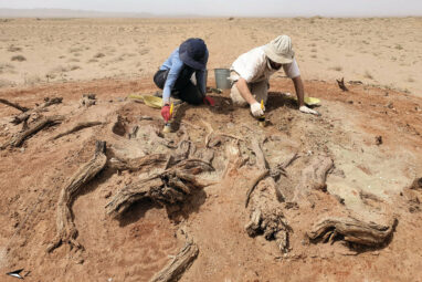 Secrets of the mysterious Gobi wall uncovered