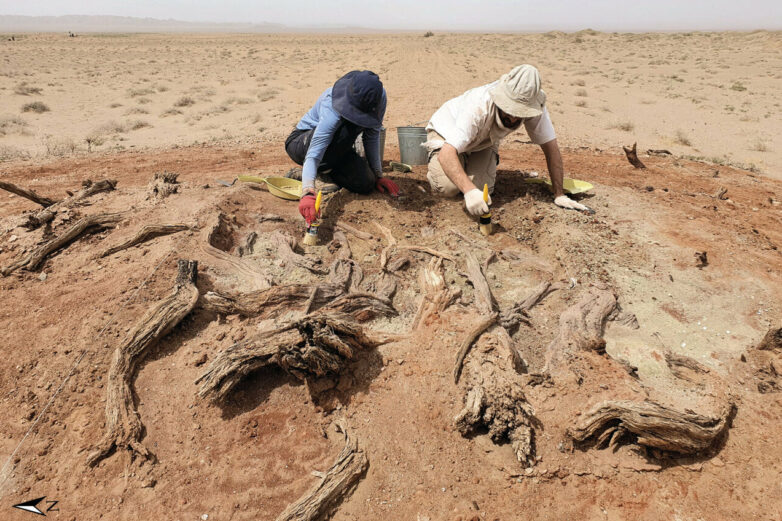 Secrets of the mysterious Gobi wall uncovered