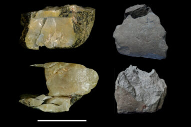 How Do We Know When A Hunk Of Rock Is Actually A Stone Tool ...