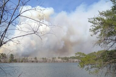 Where tomorrow's scientists prefer to live − and where they'd ...