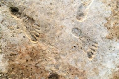 Earliest evidence of humans in the Americas confirmed