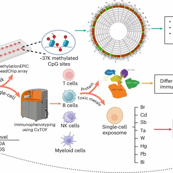 Fire smoke exposure may alter the immune system, even in healthy ...