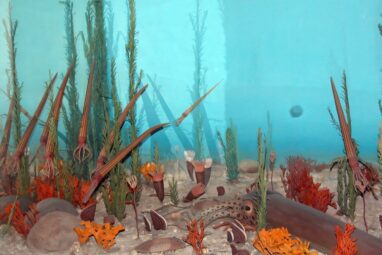 Geochronological study finds tempo of late Ordovician mass ...