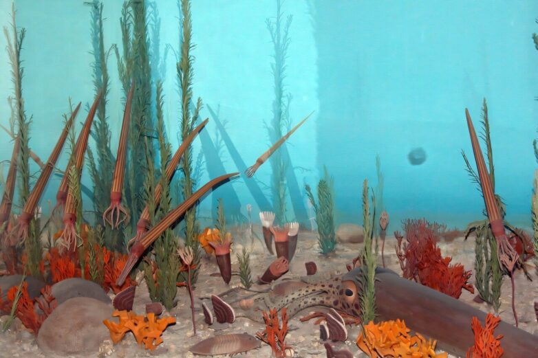 Geochronological study finds tempo of late Ordovician mass ...