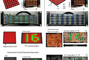 Kirigami-inspired design enables uniform 200% stretch in multi ...