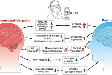 Frontiers | Non-invasive Brain Stimulation for Central Neuropathic ...