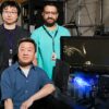 Universal law of quantum vortex dynamics discovered in superfluid ...