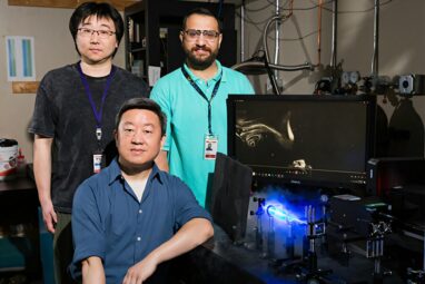 Universal law of quantum vortex dynamics discovered in superfluid ...