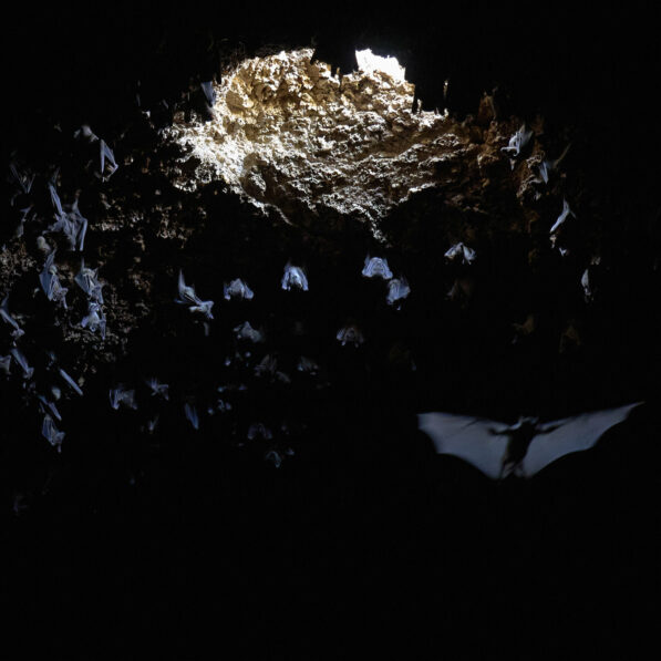 A 100,000-year-old burial site in Israel is changing what we know ...