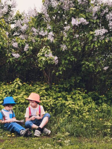 Access to green spaces may be linked to lower risk of ...