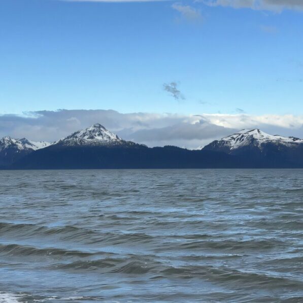 AI and fiber optics reveal hidden earthquakes beneath the Pacific ...