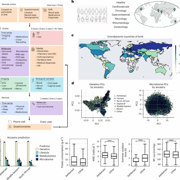 AI-powered 'digital twin' created to predict personal health outcomes