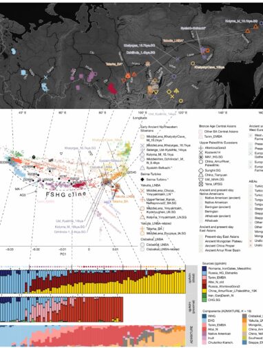 Ancient DNA solves mystery of Hungarian, Finnish language family's ...