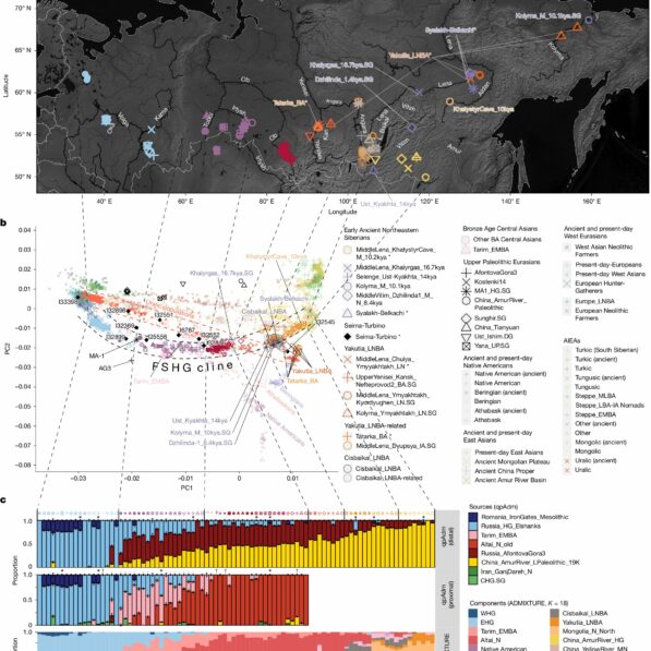 Ancient DNA solves mystery of Hungarian, Finnish language family's ...