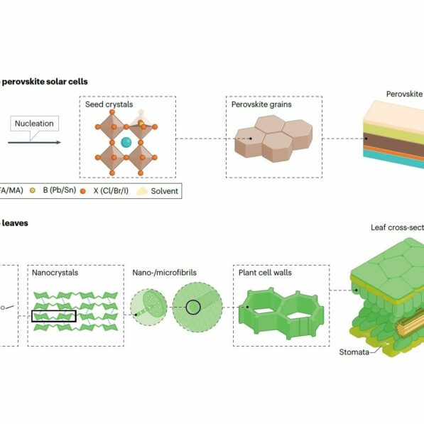 Design strategies for reshaping stability and sustainability of ...