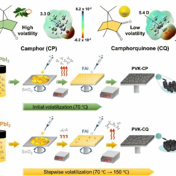 Eco-friendly method enhances perovskite solar cell quality using ...