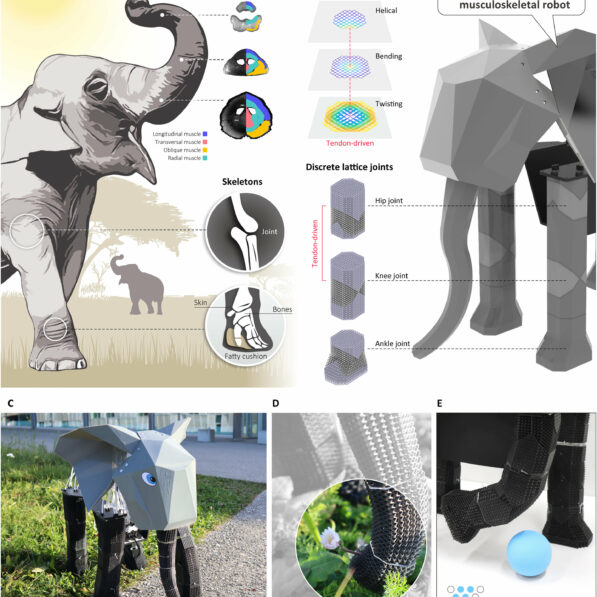 Elephant robot demonstrates bioinspired 3D printing technology