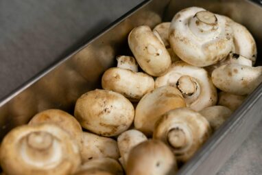 Examining mushrooms under microscopes can help engineers design ...