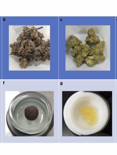 How strong is your weed? Study shows labels often misrepresent potency