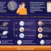 Humans and animals can both think logically − but testing what ...