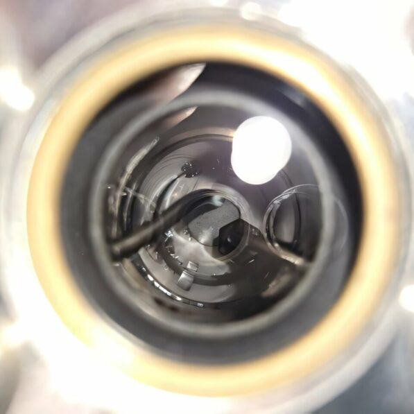 Lunar soil could support life on the Moon, say scientists