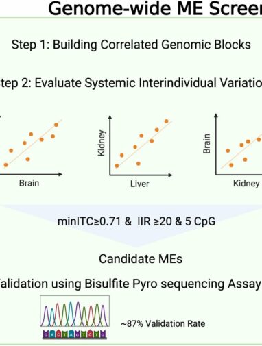 Metastable mystery: Scientists answer 20-year-old question in ...