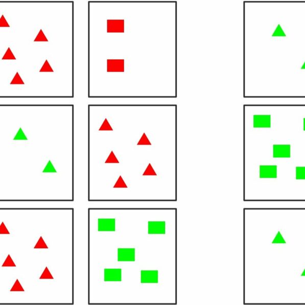 Study questions whether executive function assessments measure ...