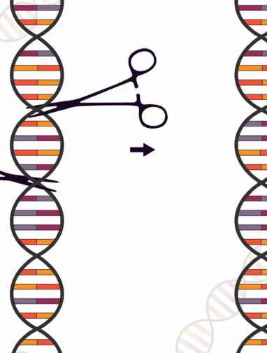 Study traces evolutionary origins of essential PRPS enzyme complex