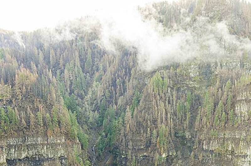 Debris slide risk doesn't always rise after a wildfire, study finds