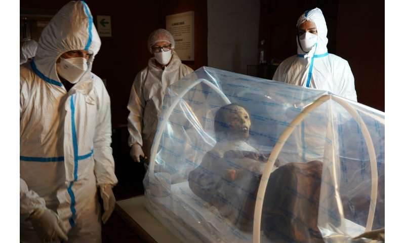 Innovative, versatile, and economical technology for preserving cultural heritage