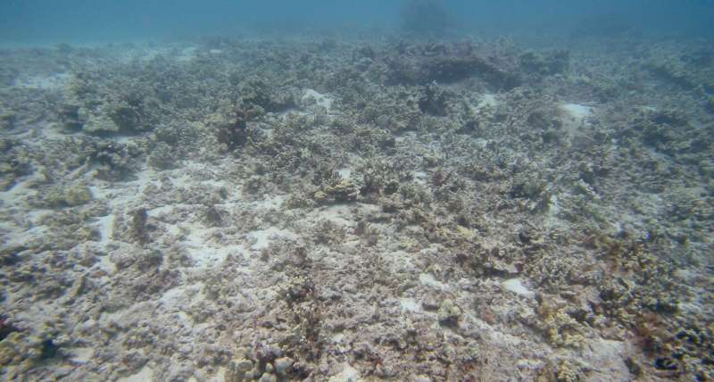 ASU study exposes sewage contamination locations threatening West Hawai'i coral reefs