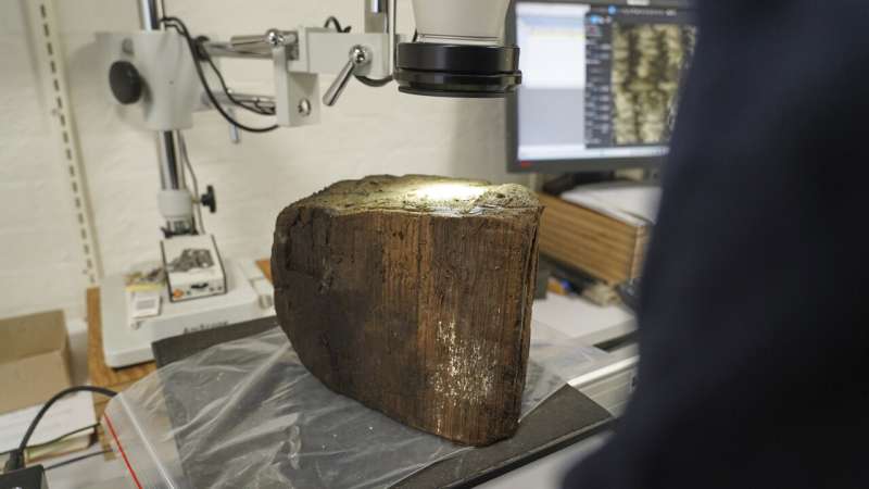 Researchers uncover Stone Age settlement submerged by rising sea levels in Denmark