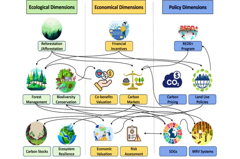 Global forests store vast carbon wealth but credit systems undervalue their true potential, study finds