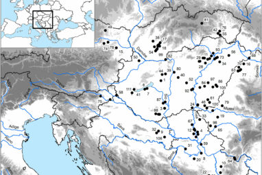 5,000 years of (in)equality in the Carpathian Basin: Challenging ...