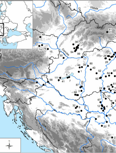 5,000 years of (in)equality in the Carpathian Basin: Challenging ...