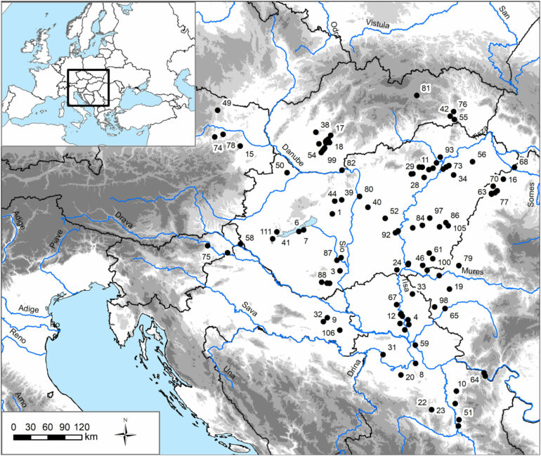 5,000 years of (in)equality in the Carpathian Basin: Challenging ...
