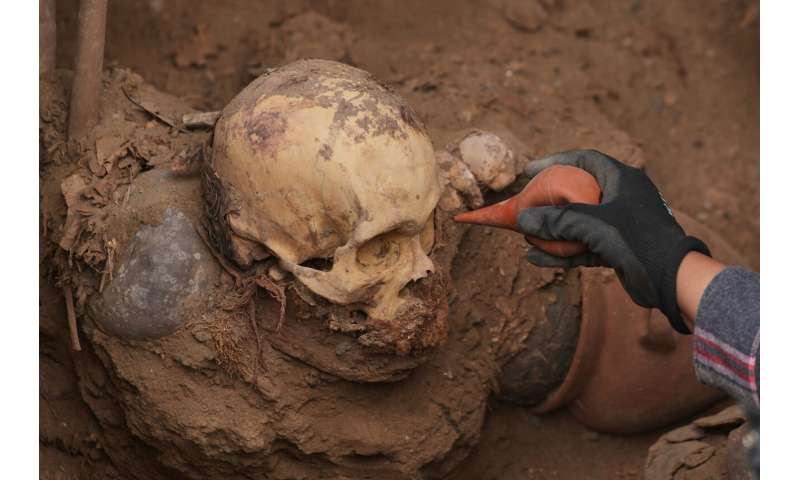 Utility workers in Peru unearth pre-Incan tomb with 1,000-year-old remains