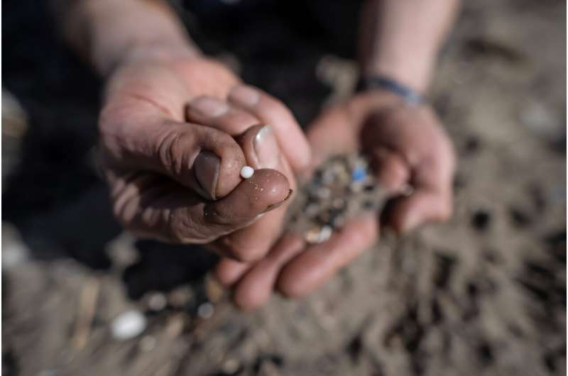 Microplastics have been found everywhere from the top of the mountains to the bottom of the sea