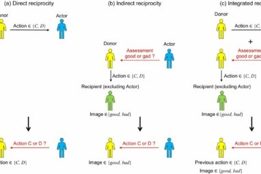 Blending direct and indirect reciprocity: Researchers create ...